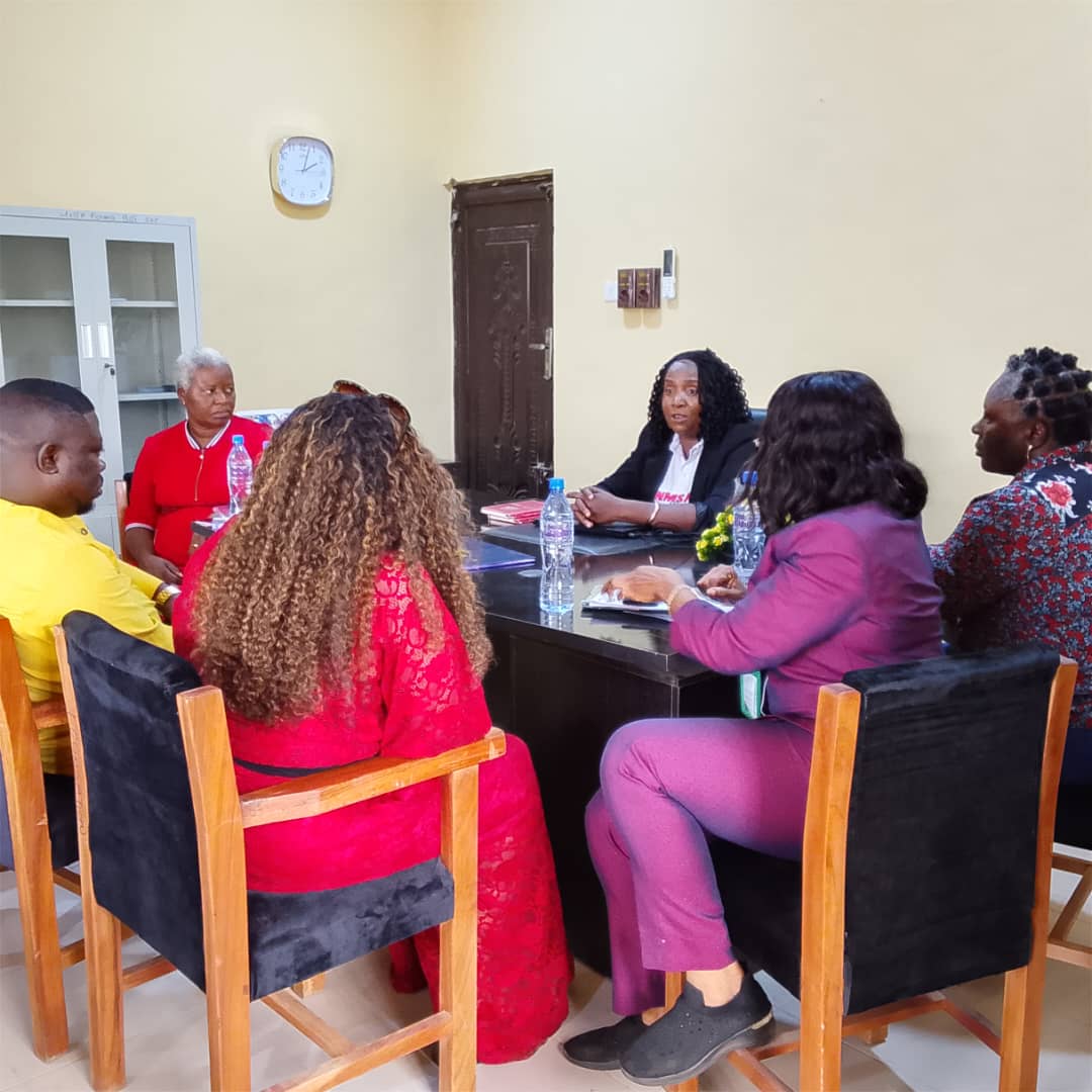 Ezzy's International College of Nursing Sciences partners with UNTH Foundation